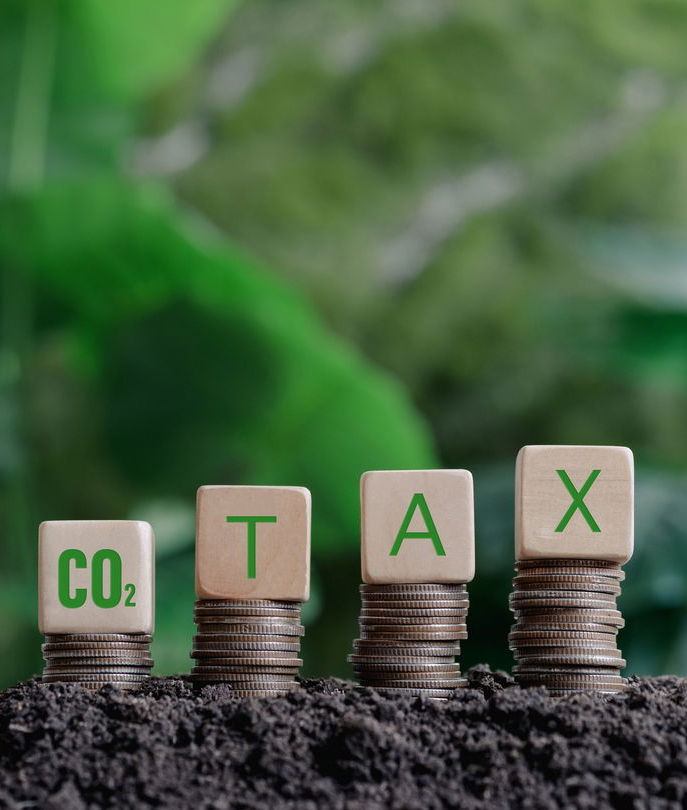 carbon tax letters on blocks atop stacks of coins on grass
