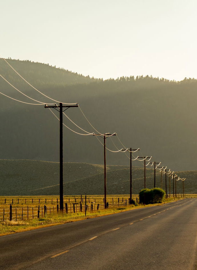 county road with power poles and crops