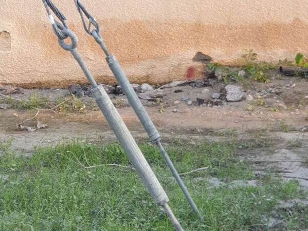 cow standing by guy wire