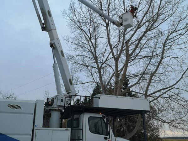 power line technician