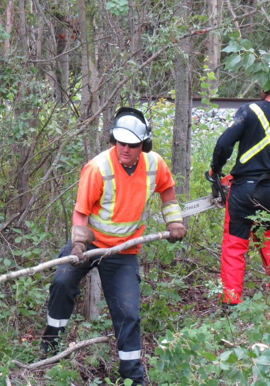 utility workers clearing brush on ground