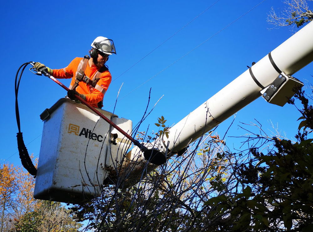 utility worker brushes trees from boom