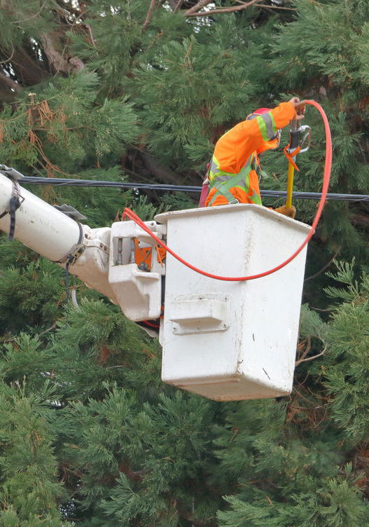 utility worker brushes windbreak from boom