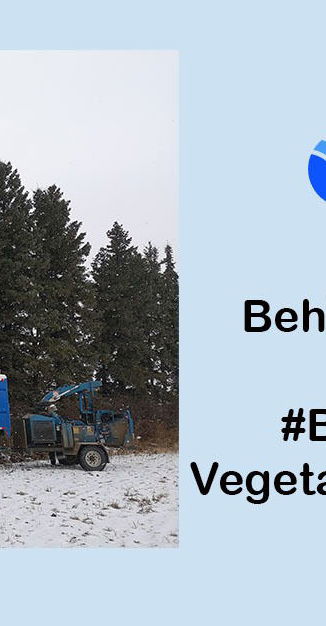 illustration: vegetation management